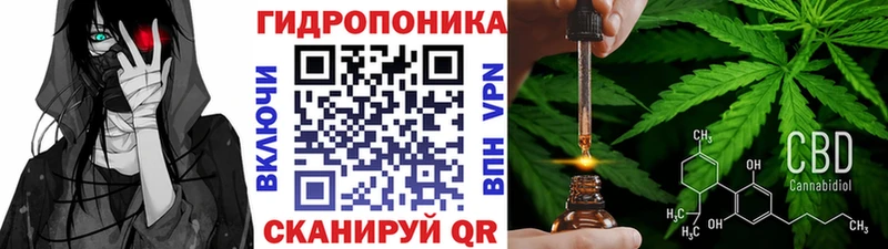купить закладку  Псков  МАРИХУАНА Amnesia 